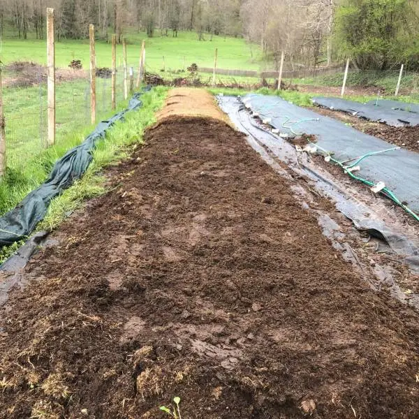 Lettiera campo di produzione humus