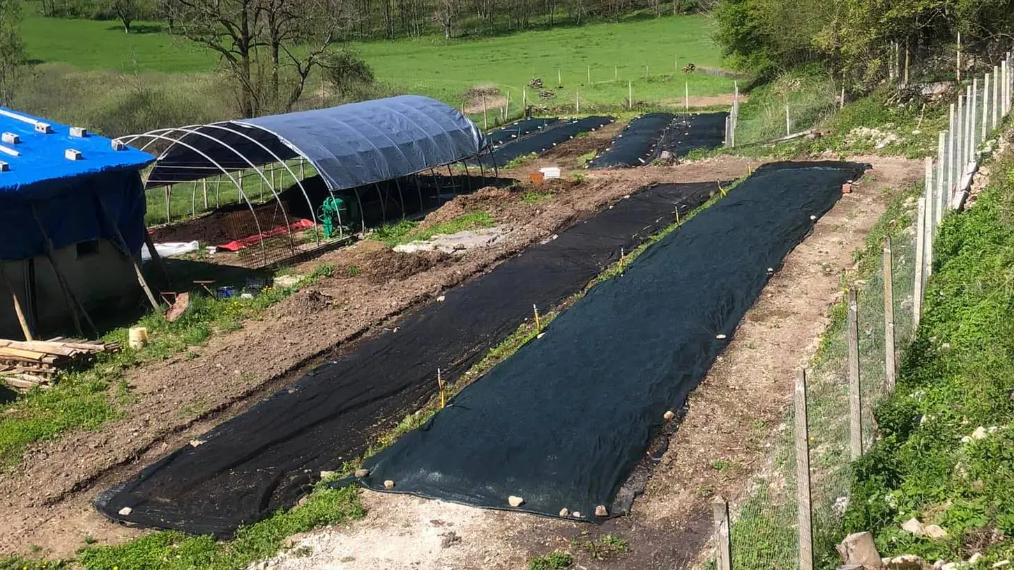 Vista dall'alto dei campi per la produzione di humus